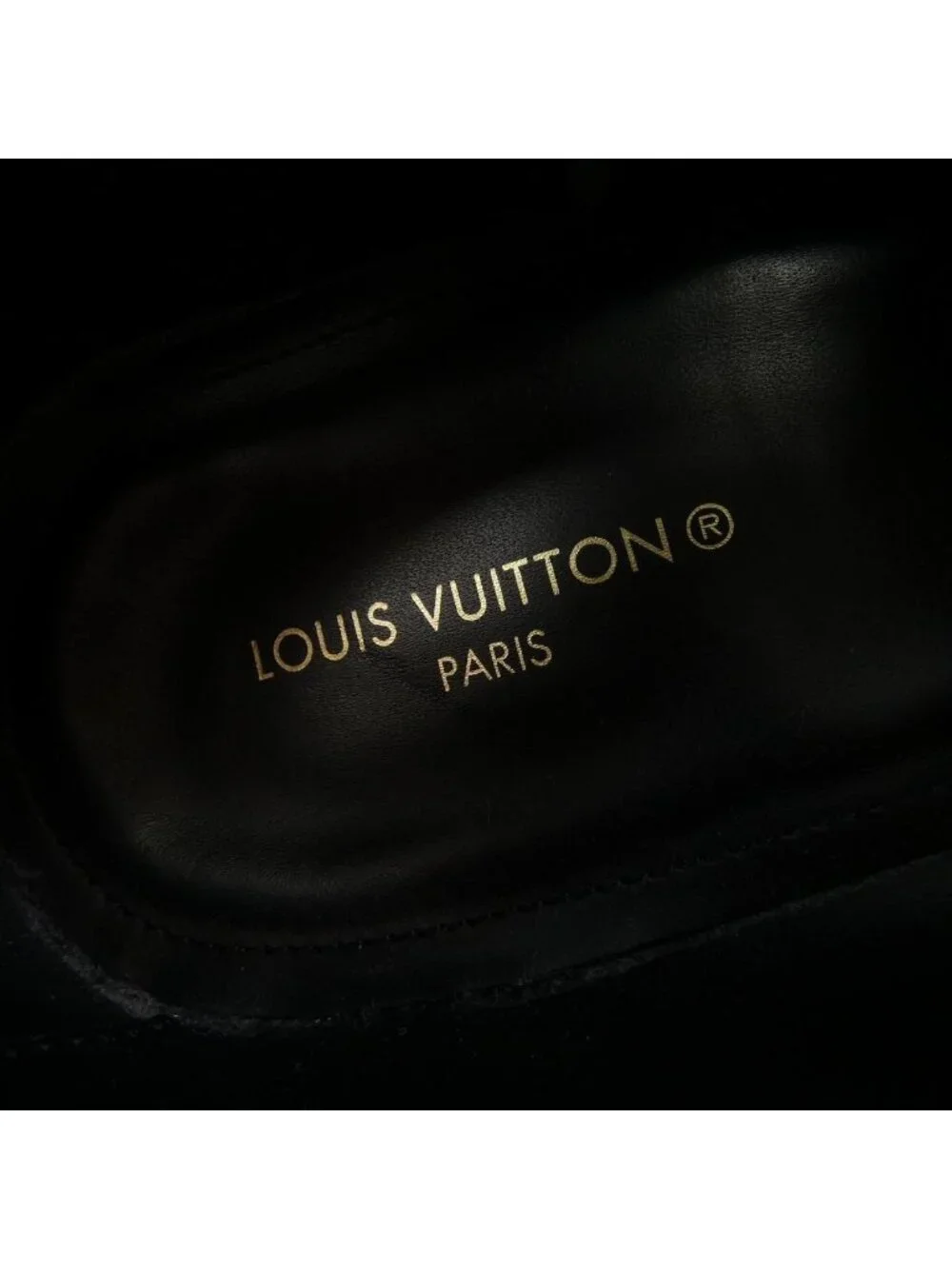 Louis Vuitton LV Flex Shoes